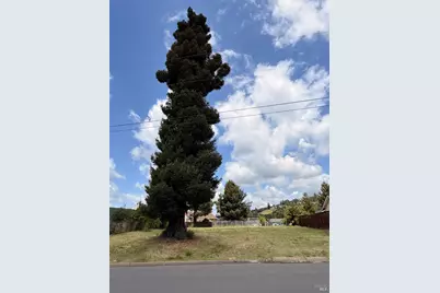 205 N Dover Court, Santa Rosa, CA 95403 - Photo 17