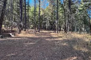 1141 Ten Mile Creek Rd, Laytonville, CA 95454 - Photo 7