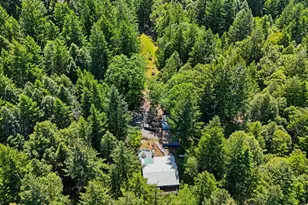 31300 Sherwood Rd, Willits, CA 95490 - Photo 53