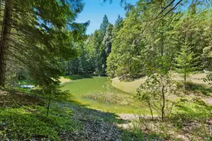 31300 Sherwood Rd, Willits, CA 95490 - Photo 47