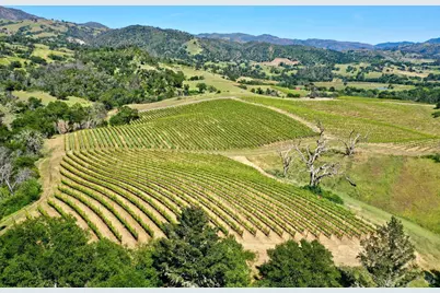 309 Artisan Circle, Geyserville, CA 95441 - Photo 17