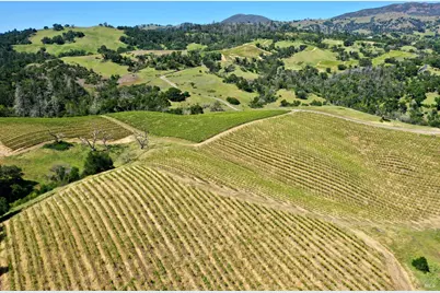 309 Artisan Circle, Geyserville, CA 95441 - Photo 37