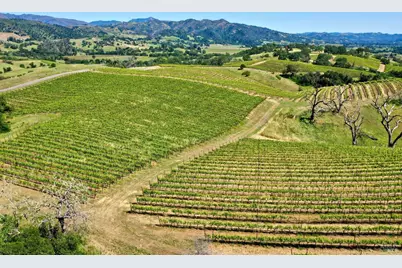 309 Artisan Circle, Geyserville, CA 95441 - Photo 41
