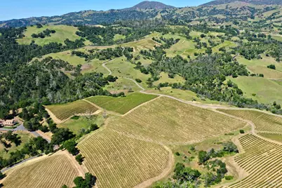 309 Artisan Circle, Geyserville, CA 95441 - Photo 55