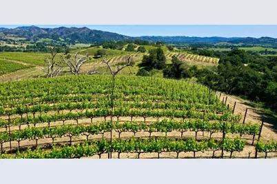 309 Artisan Circle, Geyserville, CA 95441 - Photo 25