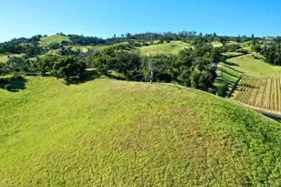 746 Artisan Cir, Geyserville, CA 95441 - Photo 63