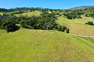 746 Artisan Cir, Geyserville, CA 95441 - Photo 41
