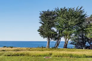 233 Solstice, The Sea Ranch, CA 95497 - Photo 3