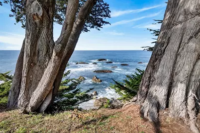 233 Solstice, The Sea Ranch, CA 95497 - Photo 7