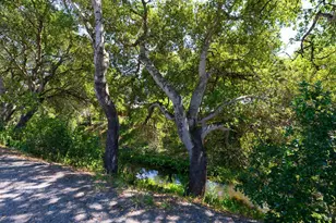 1295 Peterson Ln, Santa Rosa, CA 95403 - Photo 31