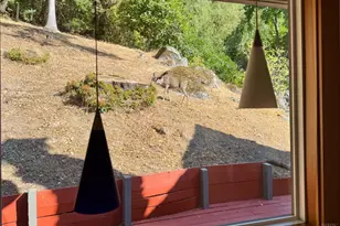 1776 Partrick Rd, Napa, CA 94558 - Photo 13