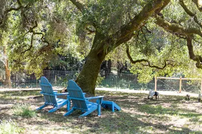 15555 Bittner Road, Occidental, CA 95465 - Photo 51