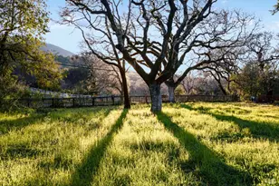 3820 Warm Springs Rd, Glen Ellen, CA 95442 - Photo 49