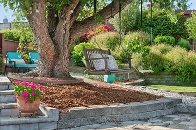 385 San Carlos Way, Novato, CA 94945 - Photo 65