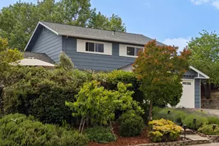 385 San Carlos Way, Novato, CA 94945 - Photo 3