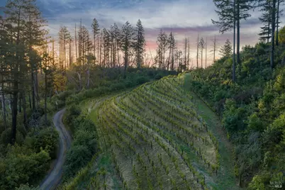 3801 Mount Veeder Road Road, Napa, CA 94558 - Photo 19