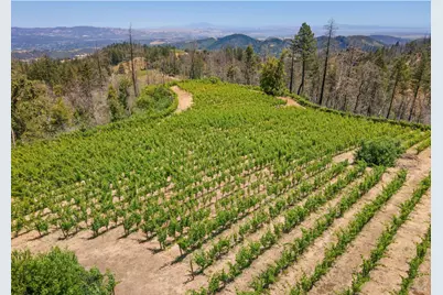 3801 Mount Veeder Road Road, Napa, CA 94558 - Photo 21