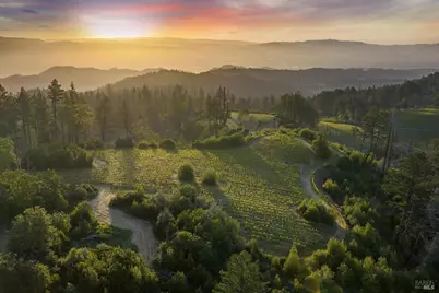 3801 Mount Veeder Road Road, Napa, CA 94558 - Photo 3