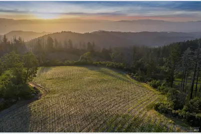 3801 Mount Veeder Road Road, Napa, CA 94558 - Photo 7