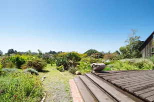 585 Evergreen Rd, Bolinas, CA 94924 - Photo 35
