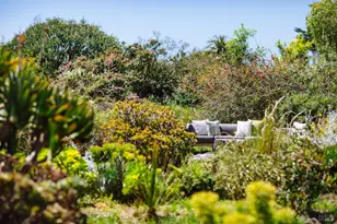 585 Evergreen Rd, Bolinas, CA 94924 - Photo 45