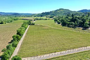5520 W Soda Rock Ln, Healdsburg, CA 95448 - Photo 55