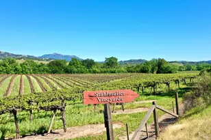 5520 W Soda Rock Ln, Healdsburg, CA 95448 - Photo 13