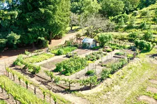 5520 W Soda Rock Ln, Healdsburg, CA 95448 - Photo 39
