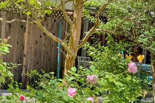 14917 Melody Ave, Guerneville, CA 95446 - Photo 51