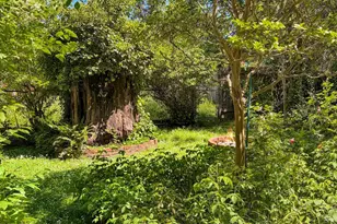 14917 Melody Ave, Guerneville, CA 95446 - Photo 45