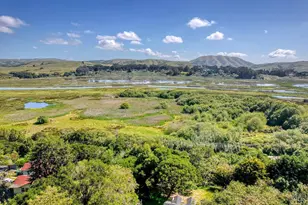 57 Laurel St, Inverness, CA 94937 - Photo 3