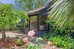 36 Main Dr, San Rafael, CA 94901 - Photo 53