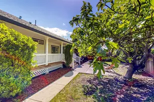 527 Middle Rincon Rd, Santa Rosa, CA 95409 - Photo 41