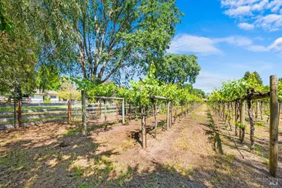 19521 7th Street, Sonoma, CA 95476 - Photo 9