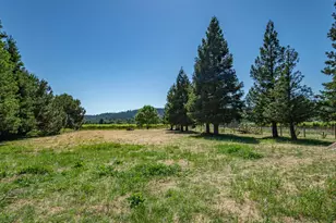 620 Dry Creek Rd, Healdsburg, CA 95448 - Photo 63
