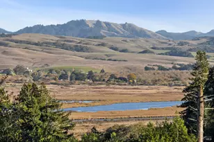 65 Kyleswood Pl, Point Reyes Station, CA 94956 - Photo 31