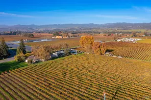 1135 Galleron Rd, Saint Helena, CA 94574 - Photo 15