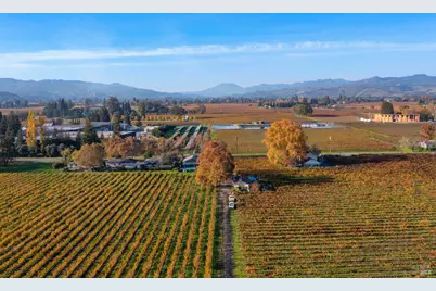 1135 Galleron Road, Saint Helena, CA 94574 - Photo 13