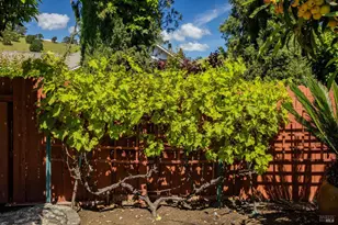 2513 Troon Ct, Fairfield, CA 94534 - Photo 77