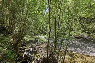 8704 Bohemian Hwy, Monte Rio, CA 95462 - Photo 23