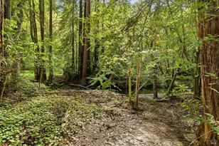 8704 Bohemian Hwy, Monte Rio, CA 95462 - Photo 29
