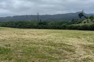 3500 Silverado Trail, Saint Helena, CA 94574 - Photo 25