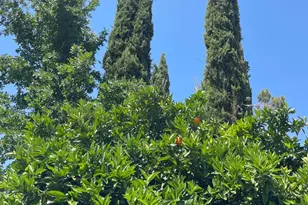 3500 Silverado Trail, Saint Helena, CA 94574 - Photo 35