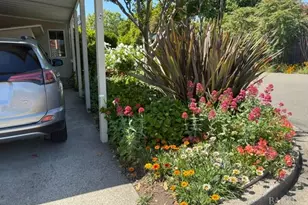84 La Paz Dr, Sonoma, CA 95476 - Photo 37