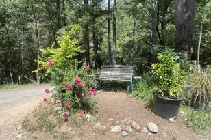 11345 Ca 116 Hwy, Guerneville, CA 95446 - Photo 9
