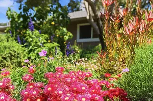 2418 Grahn Dr, Santa Rosa, CA 95404 - Photo 37