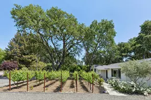 1067 Darms Ln, Napa, CA 94558 - Photo 3