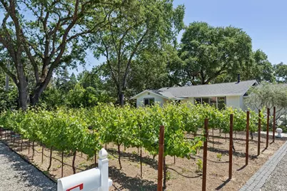 1067 Darms Lane, Napa, CA 94558 - Photo 43