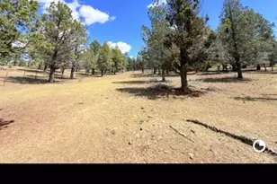 3004 Pencil Rd, Alturas, CA 96101 - Photo 27