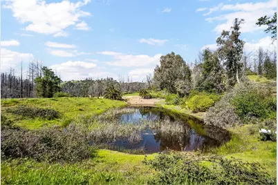 7777 Mill Creek Road, Healdsburg, CA 95448 - Photo 15